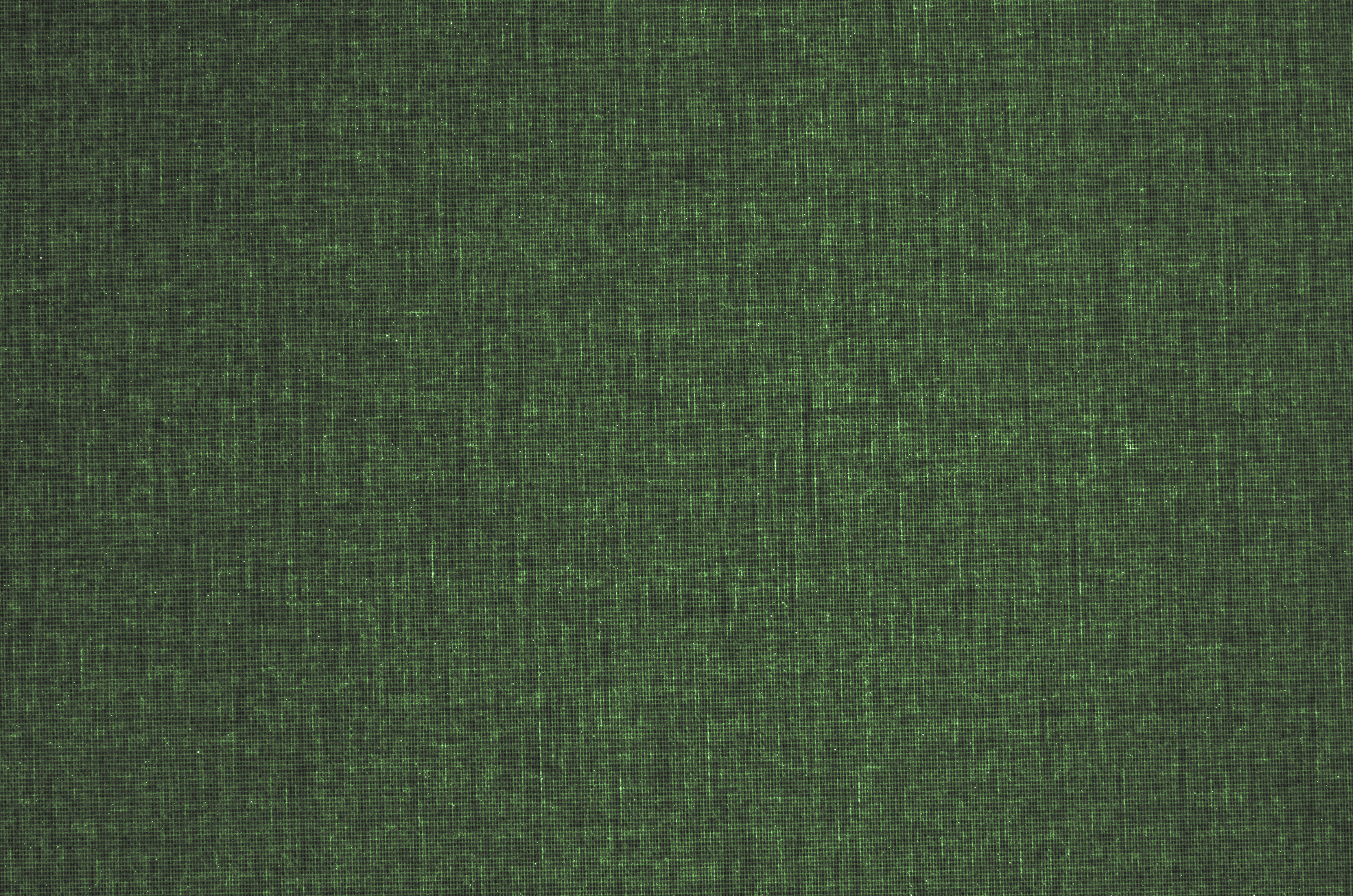 Green fabric texture